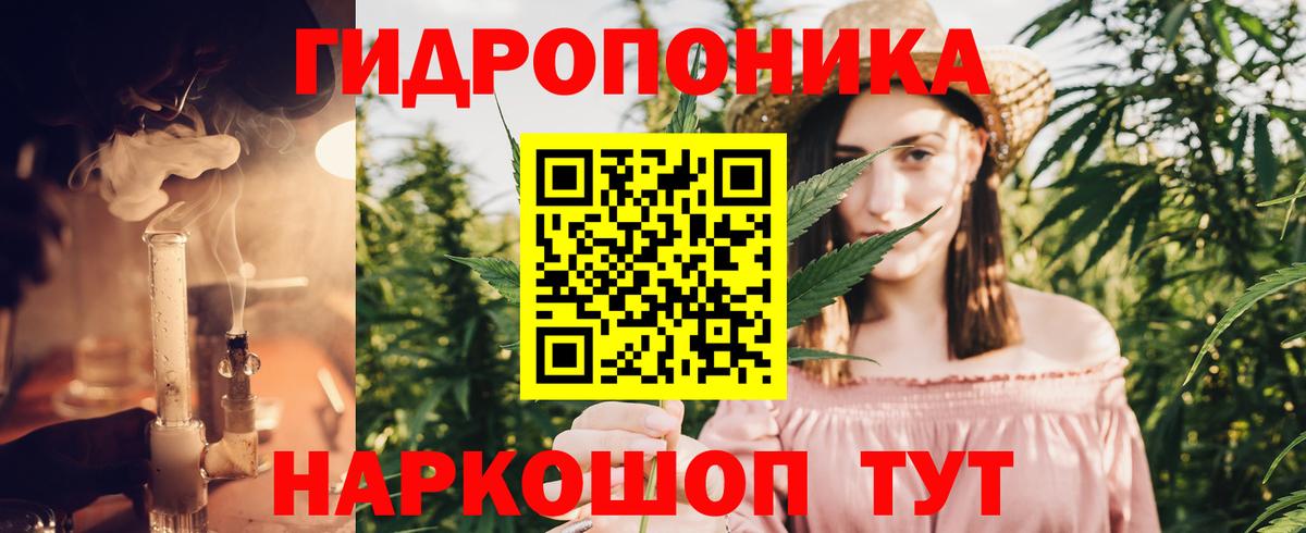 Шишки марихуана план  МАРИХУАНА LSD WEED  Вход с VPN  Бошки Шишки марихуана  Холмск 